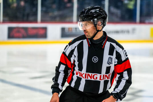 Domare Johan Magnusson