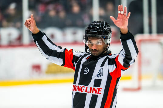 Domare Fredrik Rönnberg