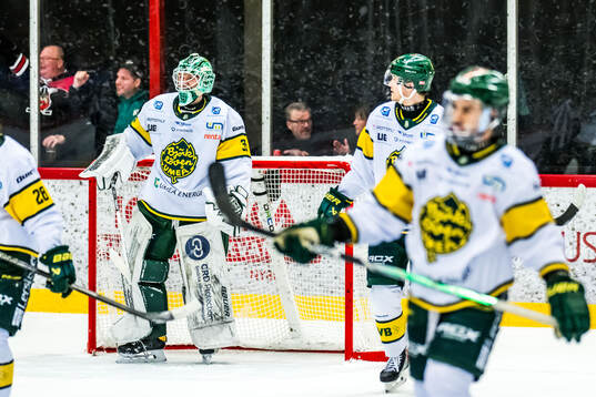 Björklövens målvakt Melker Thelin deppar