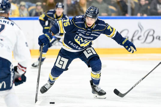 HV71s Radan Lenc