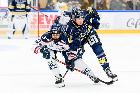 Linköpings Eddie Genborg och HV71s Måns Lindbäck