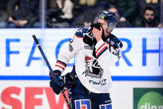 Linköpings Adam Hofbauer deppar