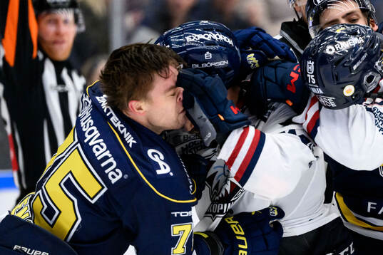 HV71s Radan Lenc