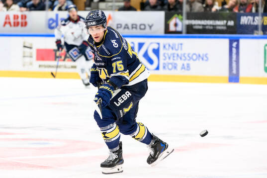 HV71s Radan Lenc