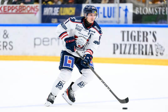 Linköpings Markus Ljungh