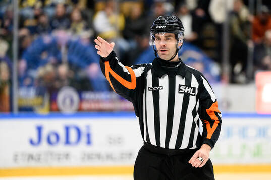 Domare Richard Magnusson