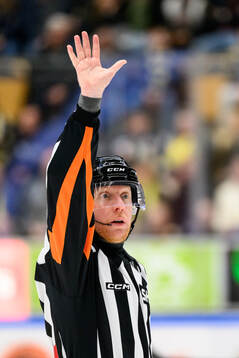 Domare Mikael Holm