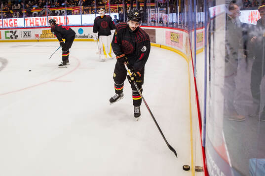 Brynäs Bobby Trivigno