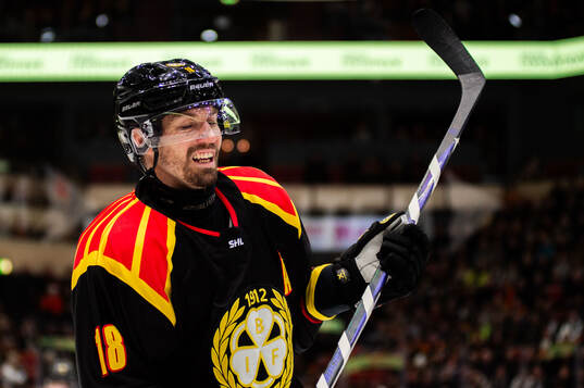 Brynäs Anton Rödin deppar