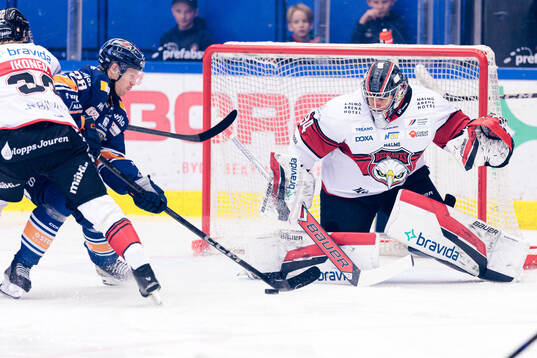 Växjös Hugo Gustafsson och Malmö Redhawks målvakt Marek