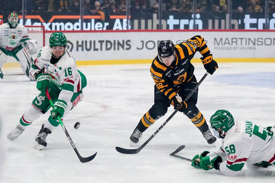 Rögles Lukas Ekeståhl-Jonsson och Skellefteås Michael