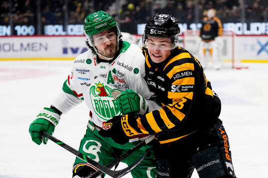 Bläddra bland fler bilder av Ishockey, SHL, Skellefteå - Rögle