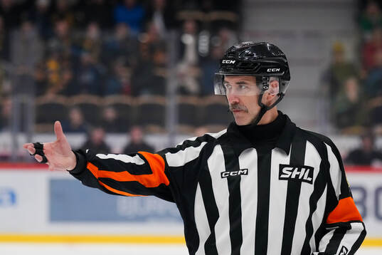 Domare Linus Öhlund