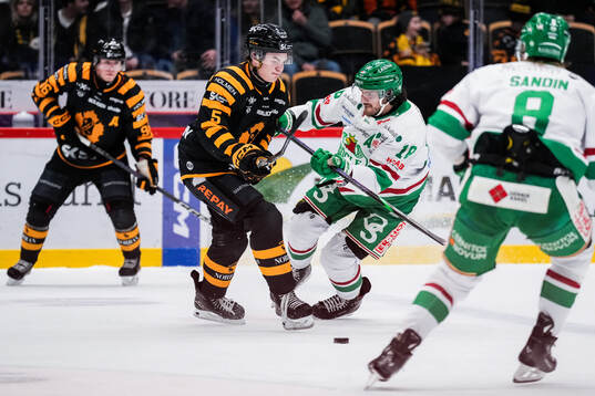 Skellefteås Axel Sandin Pellikka och Rögles Dennis