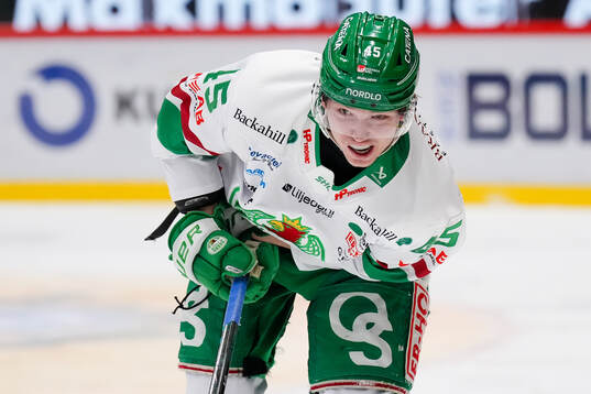 Rögles Gregor Biber