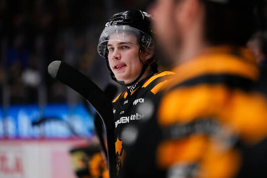Skellefteås Axel Sandin Pellikka