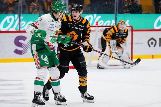 Rögles Carter Ashton och Skellefteås Rasmus Bergqvist
