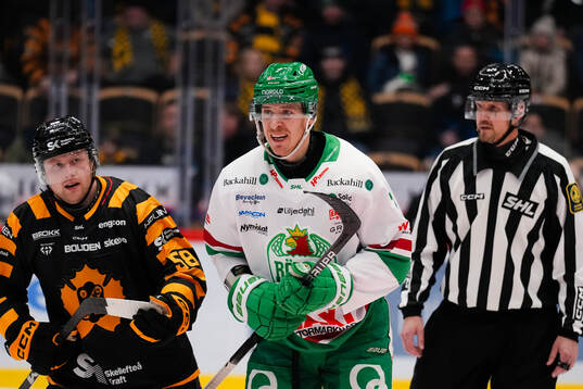Skellefteås Oskar Nilsson och Rögles Carter Ashton