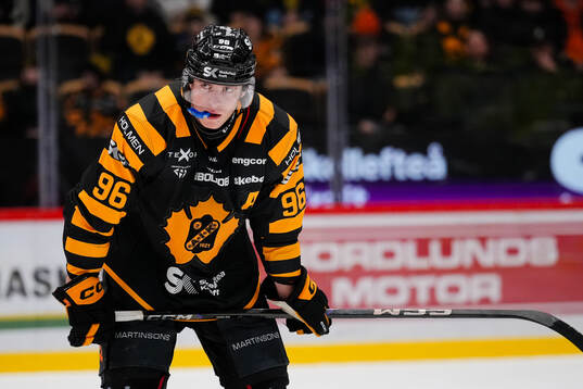 Skellefteås Rickard Hugg