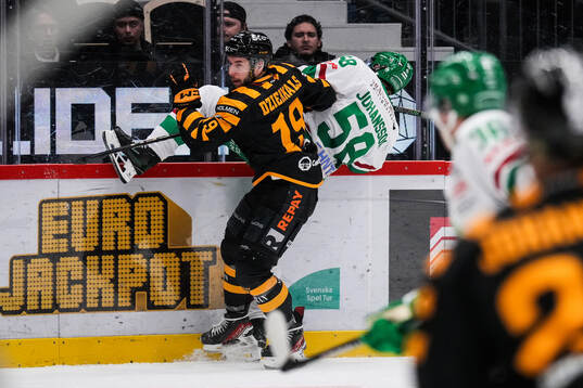 Skellefteås Martins Dzierkals och Rögles Filip Johansson