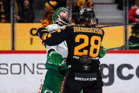 Rögles Josh Dickinson och Skellefteås Michael
