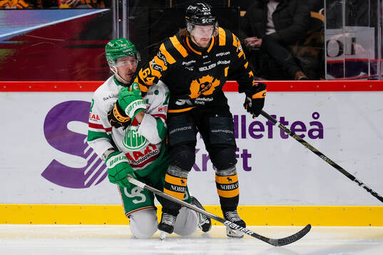 Rögles Carter Ashton och Skellefteås Jonathan Pudas