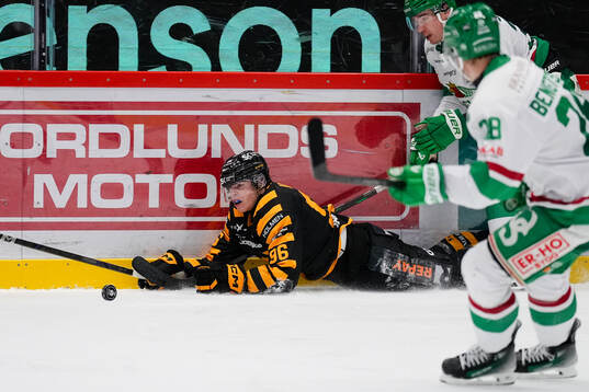 Skellefteås Rickard Hugg