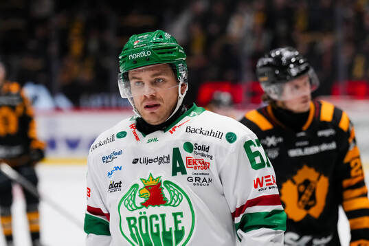 Rögles Leon Bristedt
