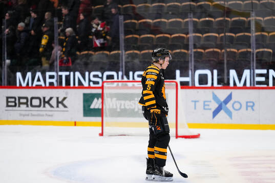 Skellefteås Axel Sandin Pellikka deppar