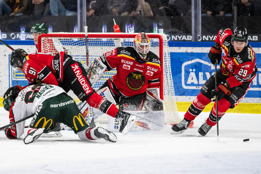 Luleås målvakt Matteus Ward