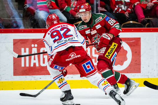 Modos Lukas Jasek