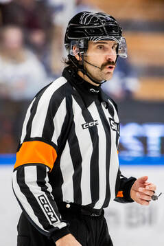 Domare Mikael Sjöqvist