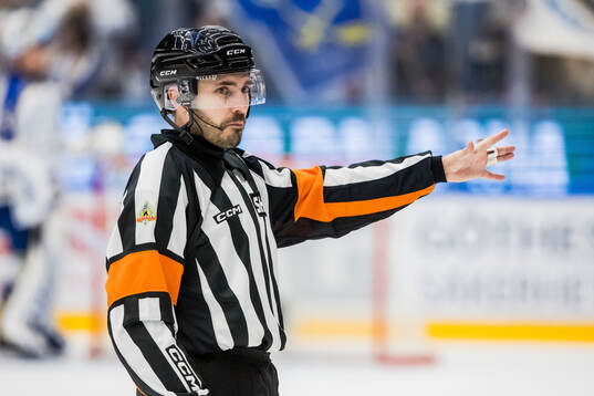 Domare Mattias Enroth