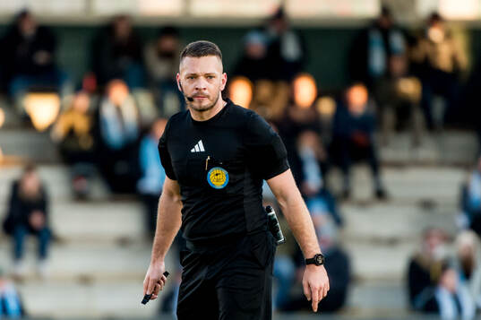 Domare Jovan Krsmanovic