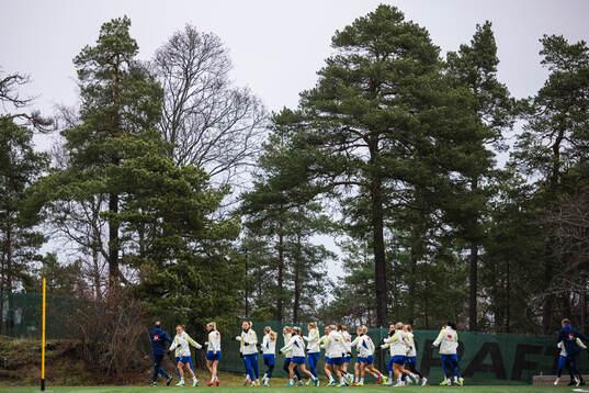 Bläddra bland fler bilder av Football, Women's Euro Qualifier, Sweden, Training