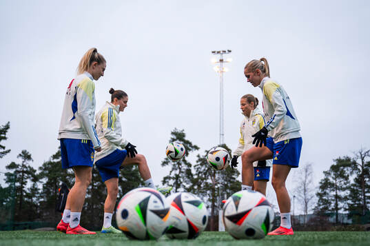 Players of the Swedish women's national football team