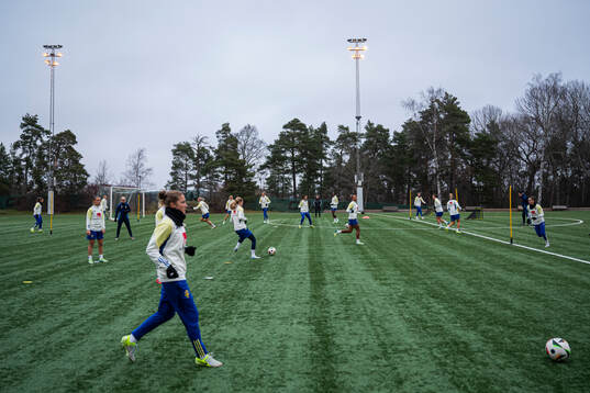 Players of the Swedish women's national football team