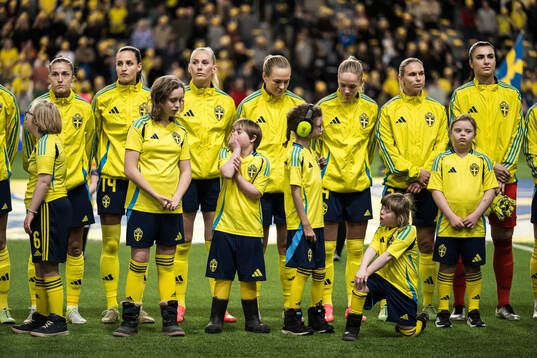 Players of Sweden