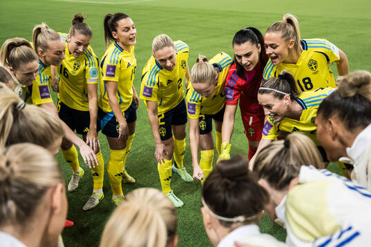 Players of Sweden