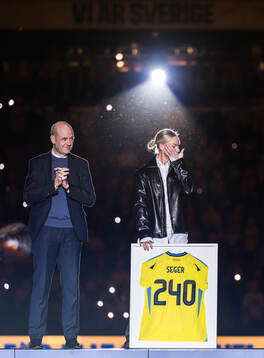 Fredrik Reinfeldt, president of the Swedish Football