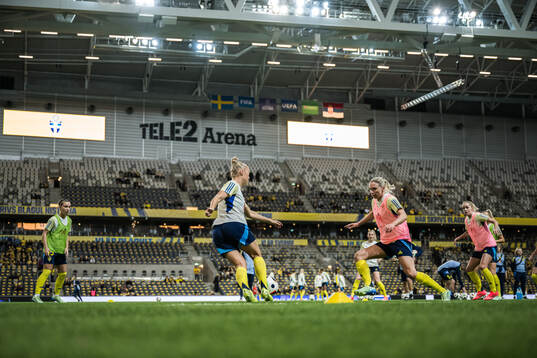 Players of Sweden