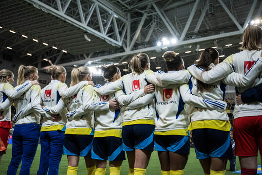 Players of Sweden