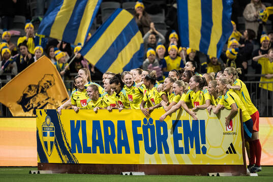 Players of Sweden celebrate with a sign ”Klara för EM!”