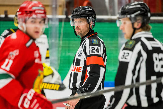 Domare Johan Magnusson