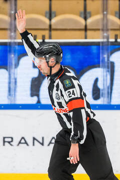 Domare Johan Magnusson