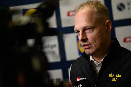 Magnus Hävelid, Head coach of the Swedish under-20