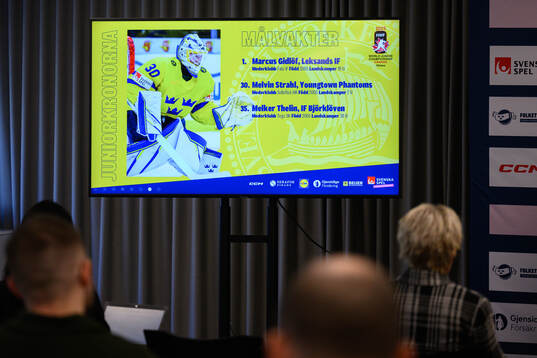 A screen with the names of the goaltenders is shown