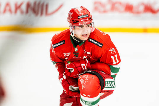 Moras Gustav Salmi-Lilja