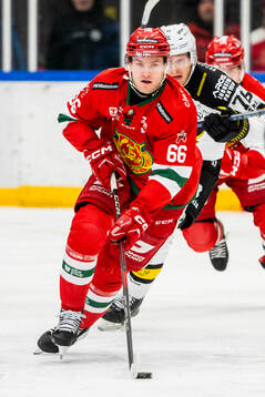 Moras Ludvig Markman