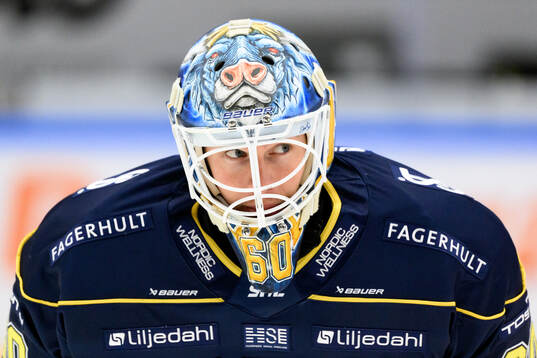 HV71s målvakt Hugo Alnefelt